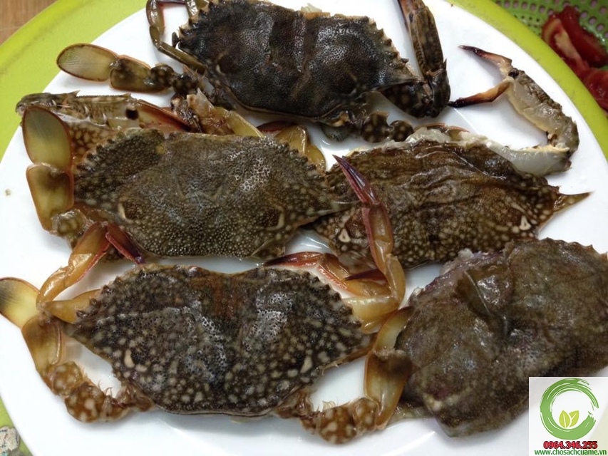 Ghẹ lột là gì?