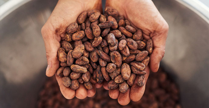 Hạt Cacao rang 3