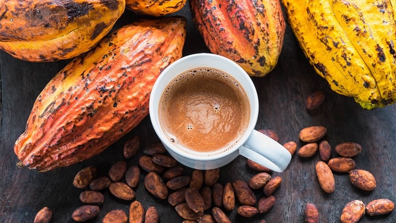 Hạt Cacao rang 5