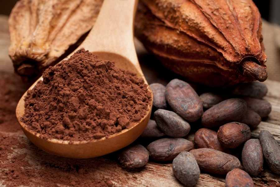 Hạt Cacao rang 1