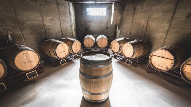 Rượu ngâm gỗ sồi lâu năm có gì đặc biệt?