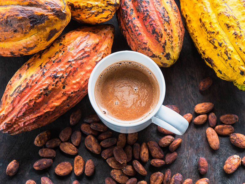 bột cacao nguyên chất